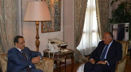 وزير الخارجية يؤكد مساندة مصر لكافة الجهود المبذولة من جانب الأمم المتحدة للتوصل إلى تسوية شاملة للأزمة اليمنية