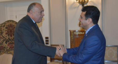 السفير مارم يلتقي وزير الخارجية المصري