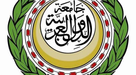 أبو الغيط يؤكد أهمية احترام الرياض لتسوية الأزمة اليمنية